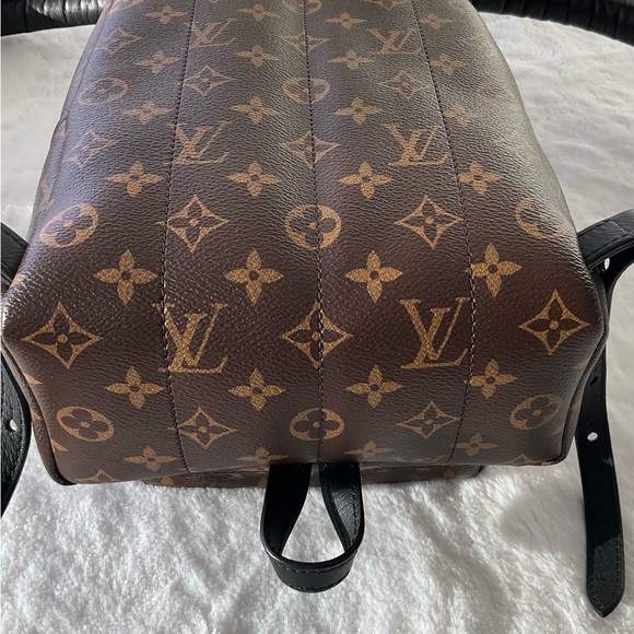 Louis Vuitton Palm Springs PM Monogram Backpack - Picture 9 of 14